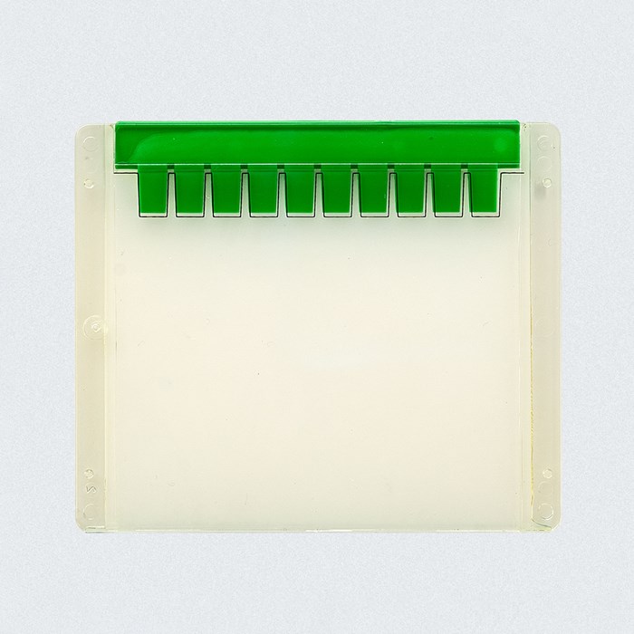 Picture showing an iD PAGE Gel, 10percent, 10 wells